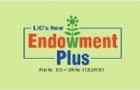 New Endowment Plus